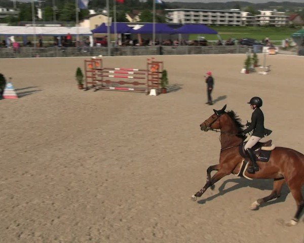 Reitturnier Fehraltorf 2025