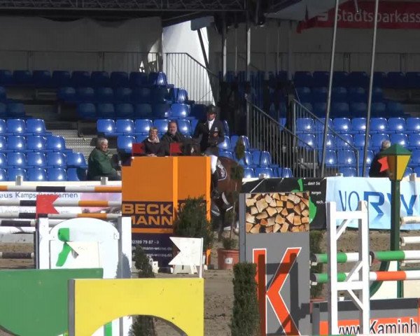 Lenklarer Reitertage 2014