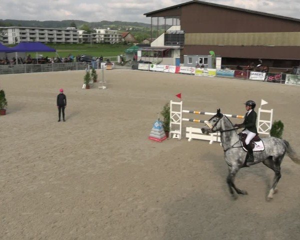 Reitturnier Fehraltorf 2025