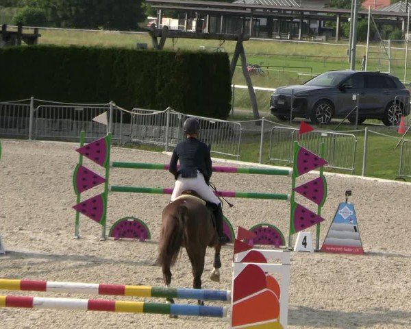 Reitturnier Fehraltorf 2025