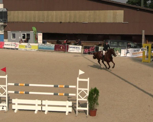 Reitturnier Fehraltorf 2025