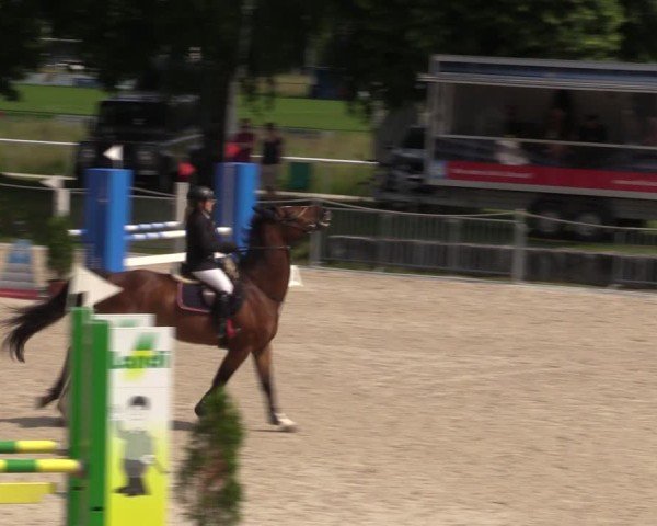 Reitturnier Fehraltorf 2025