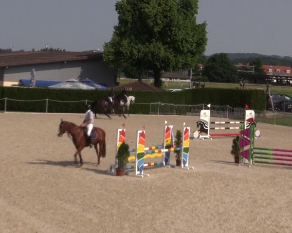 Reitturnier Fehraltorf 2025