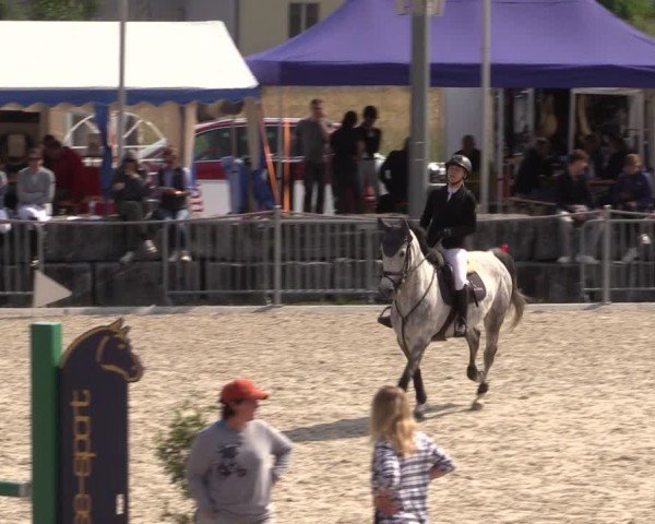 Reitturnier Fehraltorf 2025