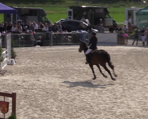 Reitturnier Fehraltorf 2025