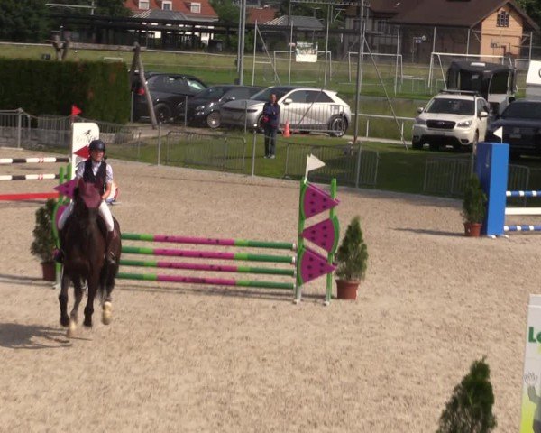 Reitturnier Fehraltorf 2025