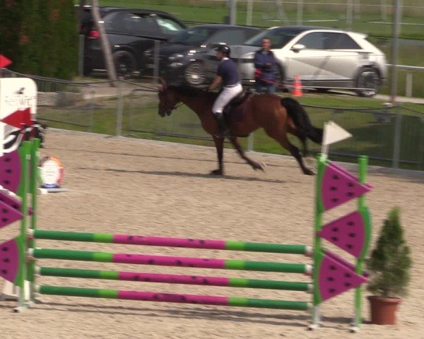 Reitturnier Fehraltorf 2025