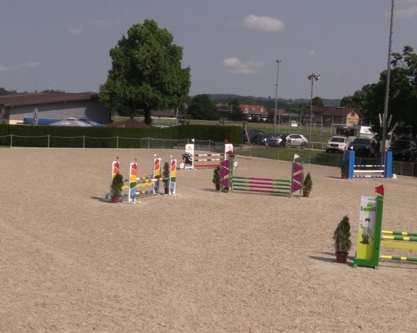 Reitturnier Fehraltorf 2025