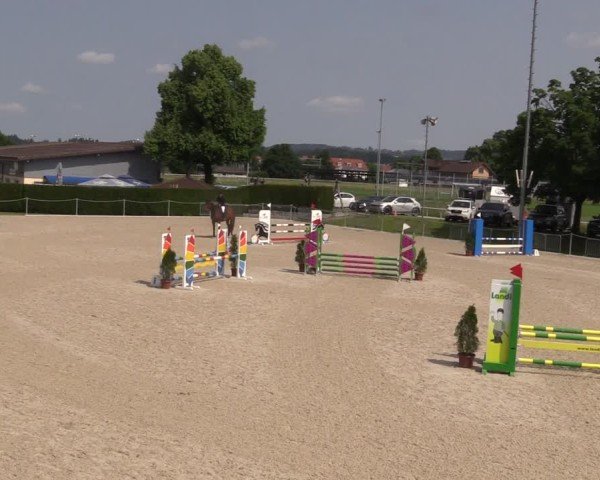 Reitturnier Fehraltorf 2025