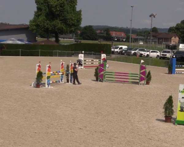 Reitturnier Fehraltorf 2025