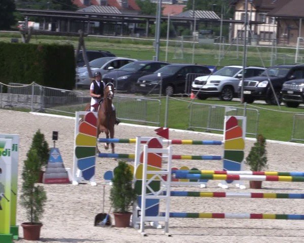 Reitturnier Fehraltorf 2025