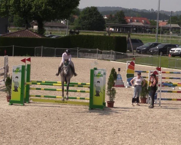 Reitturnier Fehraltorf 2025