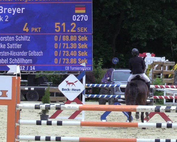 Reitturnier Siegen-Weidenau 2025