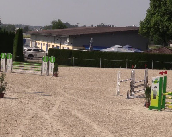 Reitturnier Fehraltorf 2025