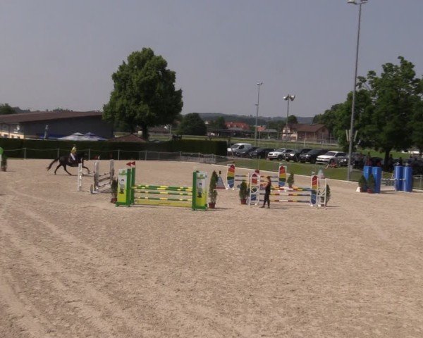 Reitturnier Fehraltorf 2025