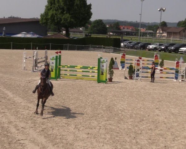 Reitturnier Fehraltorf 2025