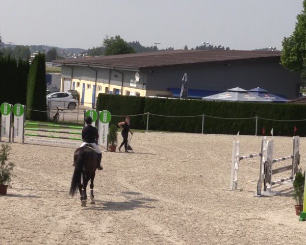 Reitturnier Fehraltorf 2025