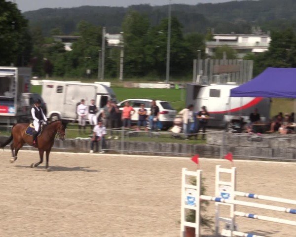 Reitturnier Fehraltorf 2025