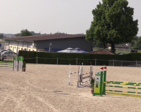 Reitturnier Fehraltorf 2025