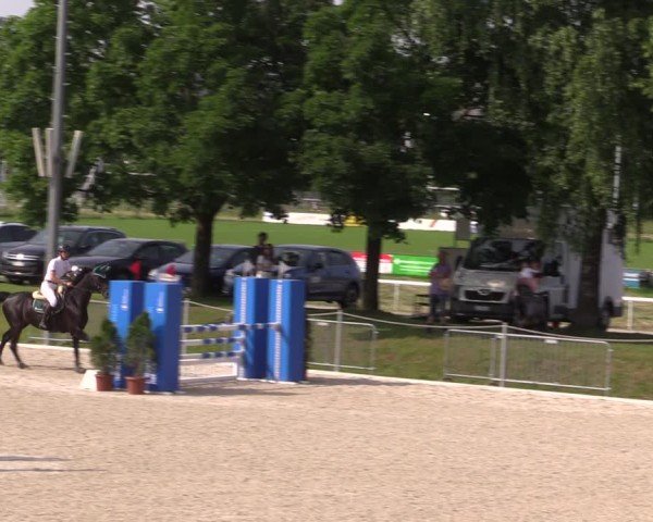 Reitturnier Fehraltorf 2025