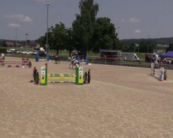 Reitturnier Fehraltorf 2025