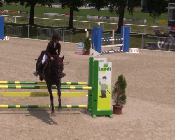 Reitturnier Fehraltorf 2025