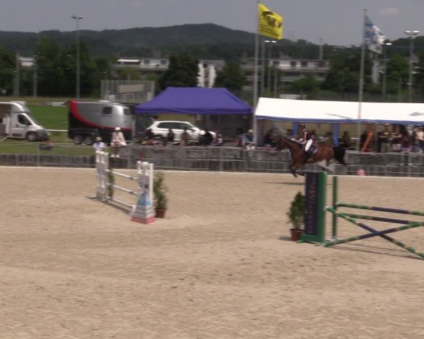 Reitturnier Fehraltorf 2025
