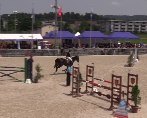 Reitturnier Fehraltorf 2025