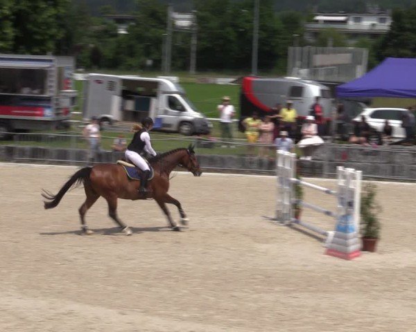 Reitturnier Fehraltorf 2025