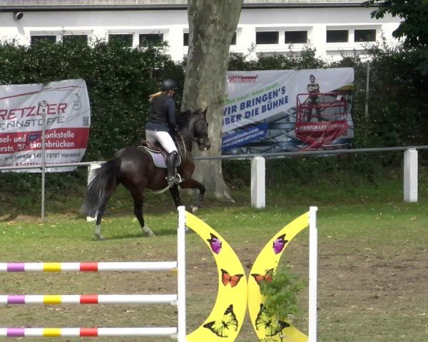 Reitturnier Forst 2025