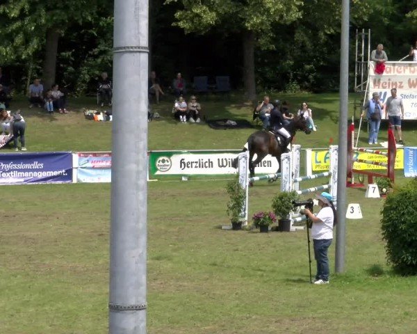 Reitturnier Forst 2025