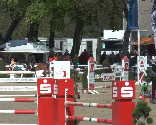Lenklarer Reitertage 2014