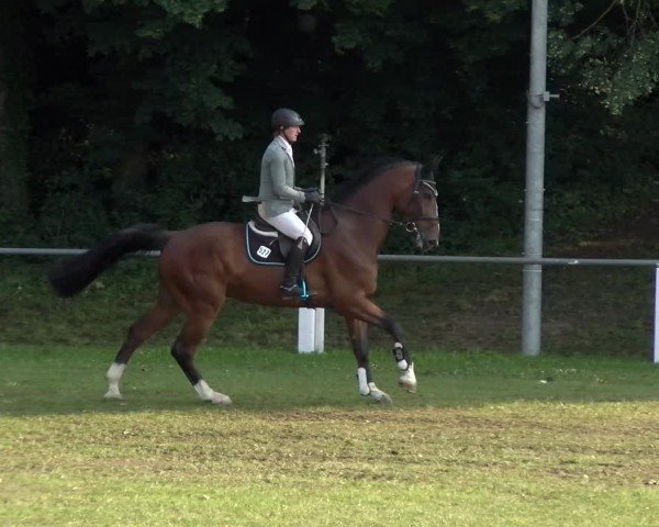 Reitturnier Forst 2025