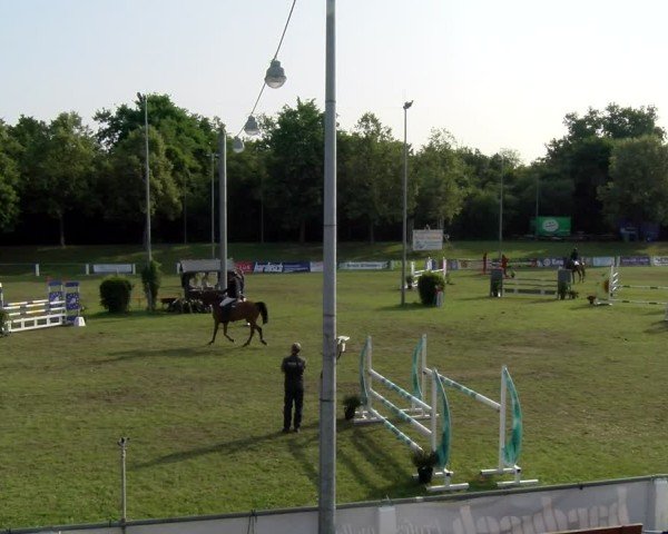 Reitturnier Forst 2025