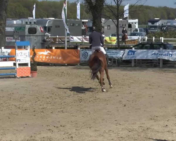 Lenklarer Reitertage 2014