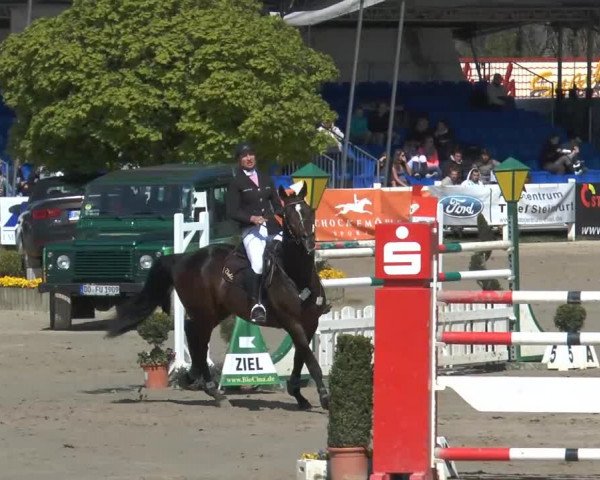 Reitturnier Werne-Lenklar 2014