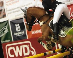 jumper La Petite Fleur Levant (KWPN (Royal Dutch Sporthorse), 2005)