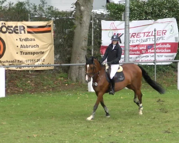 Reitturnier Forst 2025