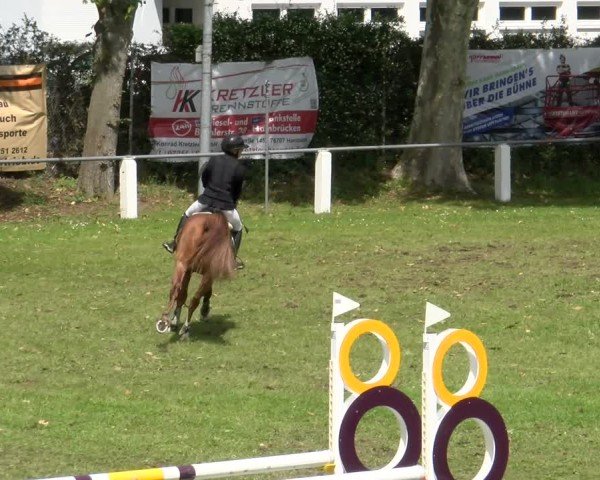 Reitturnier Forst 2025