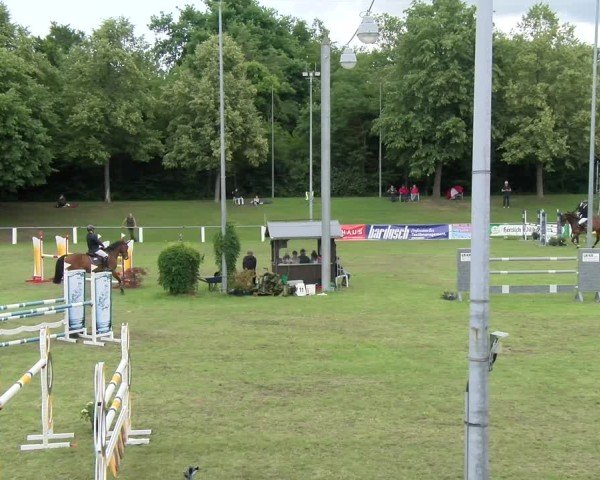 Reitturnier Forst 2025