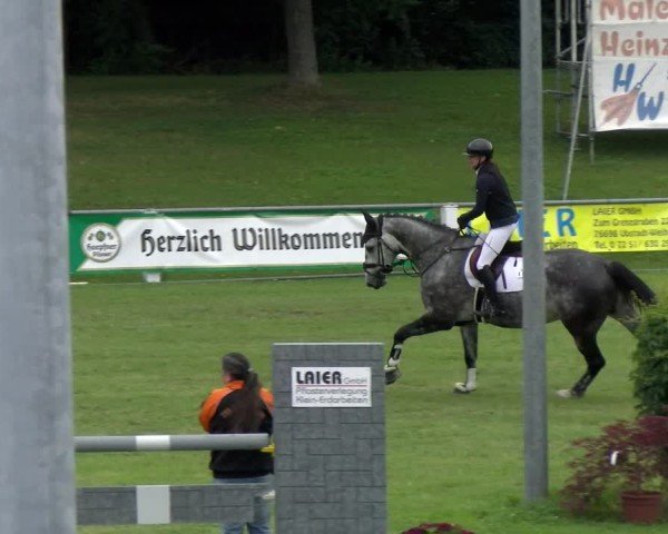 Reitturnier Forst 2025