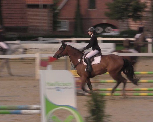 Reitturnier Everswinkel 2025