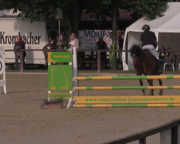 Reitturnier Everswinkel 2025