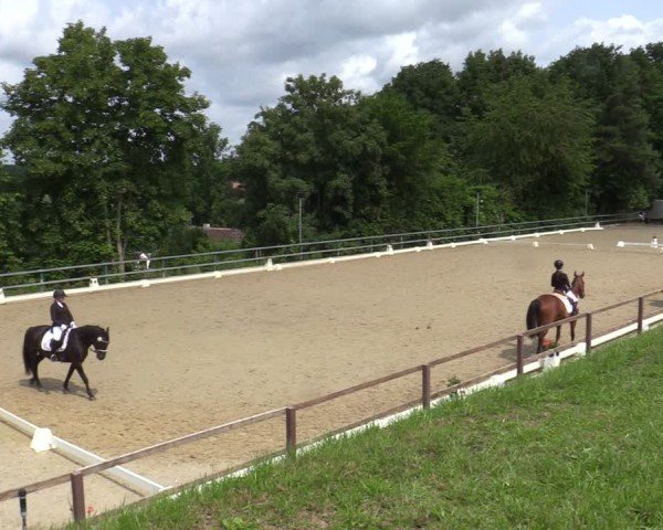 Reitturnier Iserlohn-Kalthof 2025