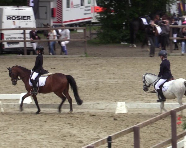 Reitturnier Iserlohn-Kalthof 2025