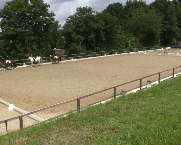 Reitturnier Iserlohn-Kalthof 2025