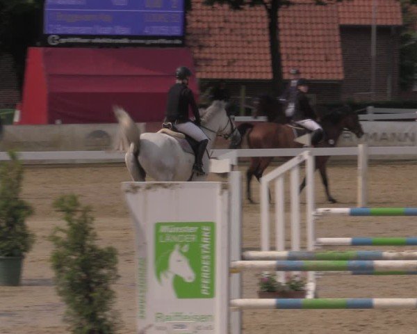 Reitturnier Everswinkel 2025