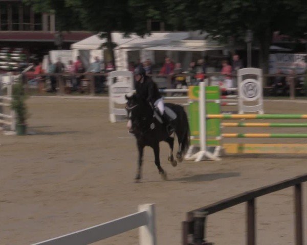 Reitturnier Everswinkel 2025