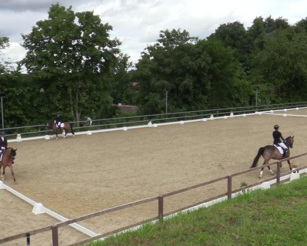 Reitturnier Iserlohn-Kalthof 2025
