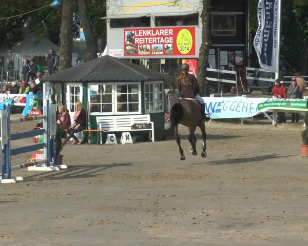 Lenklarer Reitertage 2014